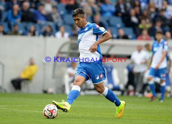 1. Fußball Bundesliga TSG 1899 Hoffenheim - VfL Wolfsburg in der Wirsol Rhein Neckar Arena Sinsheim 13.09.2014 (© Fotostand / Loerz)