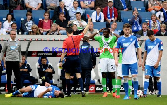 1. Fußball Bundesliga TSG 1899 Hoffenheim - VfL Wolfsburg in der Wirsol Rhein Neckar Arena Sinsheim 13.09.2014 (© Fotostand / Loerz)