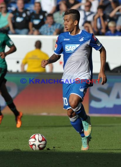 1. Fußball Bundesliga TSG 1899 Hoffenheim - FC Schalke 04 in der Wirsol Rhein Neckar Arena Sinsheim 04.10.2014  (© Fotostand / Loerz)