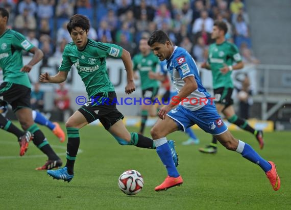 1. Fußball Bundesliga TSG 1899 Hoffenheim - FC Schalke 04 in der Wirsol Rhein Neckar Arena Sinsheim 04.10.2014  (© Fotostand / Loerz)