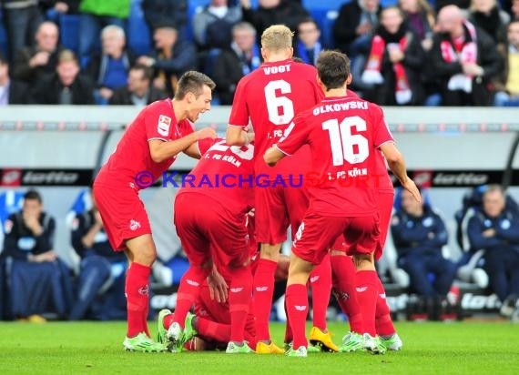 1. Fußball Bundesliga TSG 1899 Hoffenheim - 1. FC Köln in der Wirsol Rhein Neckar Arena Sinsheim 08.11. 2014  (© Fotostand / Loerz)