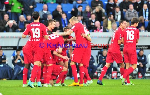 1. Fußball Bundesliga TSG 1899 Hoffenheim - 1. FC Köln in der Wirsol Rhein Neckar Arena Sinsheim 08.11. 2014  (© Fotostand / Loerz)