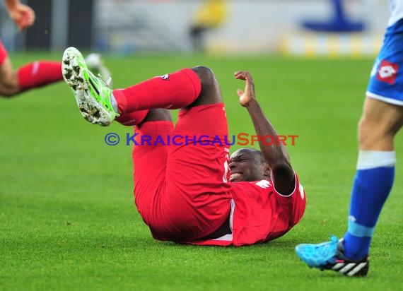 1. Fußball Bundesliga TSG 1899 Hoffenheim - 1. FC Köln in der Wirsol Rhein Neckar Arena Sinsheim 08.11. 2014  (© Fotostand / Loerz)