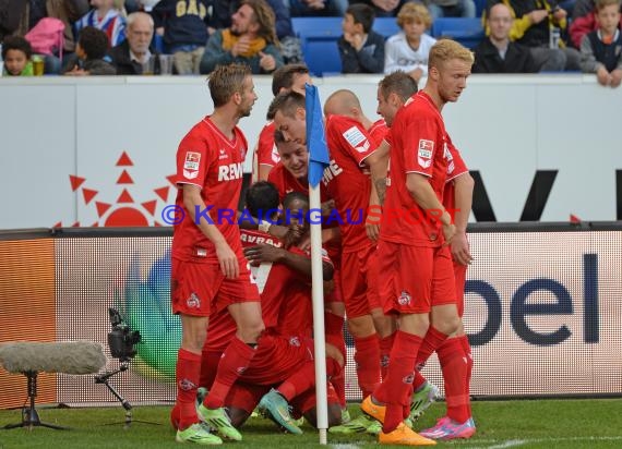 1. Fußball Bundesliga TSG 1899 Hoffenheim - 1. FC Köln in der Wirsol Rhein Neckar Arena Sinsheim 08.11. 2014  (© Fotostand / Loerz)