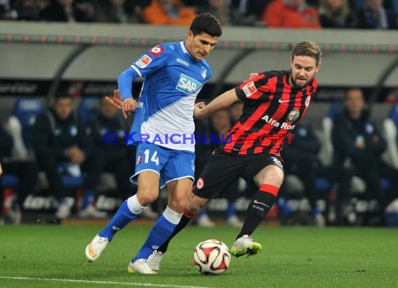 1. Fußball Bundesliga TSG 1899 Hoffenheim - Eintracht Frankfurt in der Wirsol Rhein Neckar Arena Sinsheim 12.12.2014  (© Fotostand / Loerz)