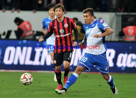 1. Fußball Bundesliga TSG 1899 Hoffenheim - Eintracht Frankfurt in der Wirsol Rhein Neckar Arena Sinsheim 12.12.2014  (© Fotostand / Loerz)