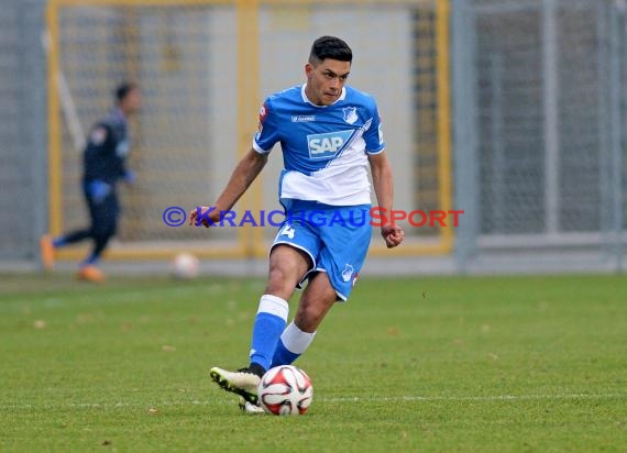 1. Fußball Bundesliga TSG 1899 Hoffenheim - Bayer Leverkusen in der Wirsol Rhein Neckar Arena Sinsheim 17.12.2014  (© Fotostand / Loerz)