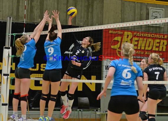 1. Fußball Bundesliga TSG 1899 Hoffenheim - Bayer Leverkusen in der Wirsol Rhein Neckar Arena Sinsheim 17.12.2014  (© Siegfried Lörz)