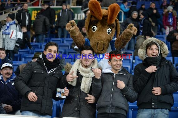 1. Fußball Bundesliga TSG 1899 Hoffenheim -SV Werder Bremen in der Wirsol Rhein Neckar Arena Sinsheim 04.02.2015  (© Fotostand / Loerz)