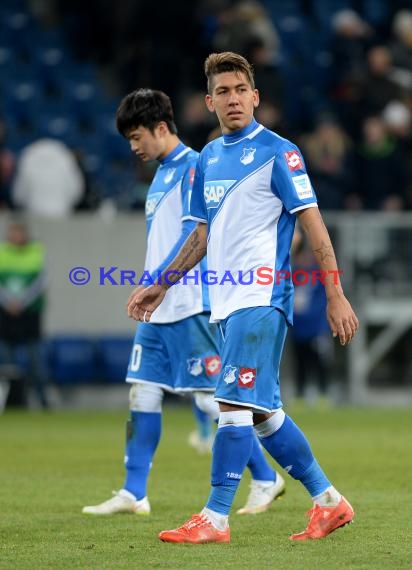 1. Fußball Bundesliga TSG 1899 Hoffenheim -SV Werder Bremen in der Wirsol Rhein Neckar Arena Sinsheim 04.02.2015  (© Fotostand / Loerz)