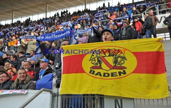 1. Fußball Bundesliga TSG 1899 Hoffenheim -VfB Stuttgart in der Wirsol Rhein Neckar Arena Sinsheim 14.02.2015  (© Fotostand / Loerz)