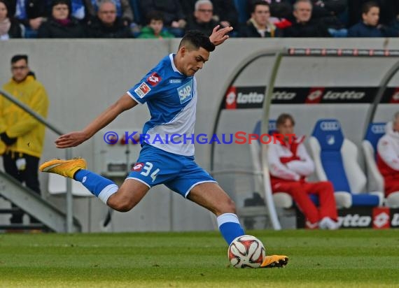 1. Fußball Bundesliga TSG 1899 Hoffenheim -VfB Stuttgart in der Wirsol Rhein Neckar Arena Sinsheim 14.02.2015  (© Fotostand / Loerz)