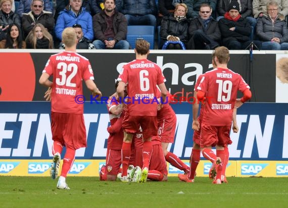 1. Fußball Bundesliga TSG 1899 Hoffenheim -VfB Stuttgart in der Wirsol Rhein Neckar Arena Sinsheim 14.02.2015  (© Fotostand / Loerz)