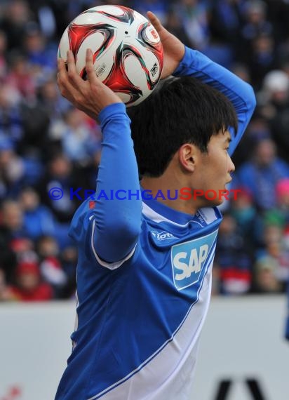 1. Fußball Bundesliga TSG 1899 Hoffenheim -VfB Stuttgart in der Wirsol Rhein Neckar Arena Sinsheim 14.02.2015  (© Fotostand / Loerz)