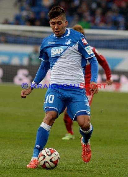 1. Fußball Bundesliga TSG 1899 Hoffenheim -VfB Stuttgart in der Wirsol Rhein Neckar Arena Sinsheim 14.02.2015  (© Fotostand / Loerz)