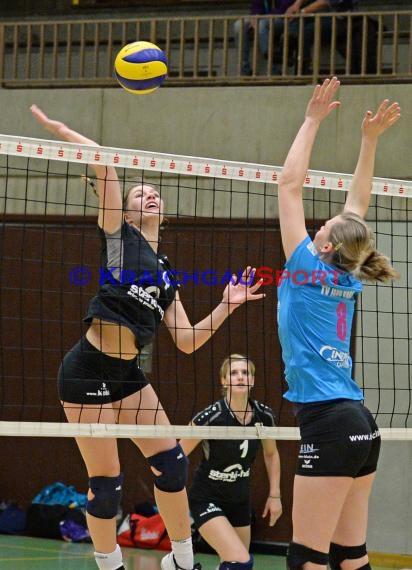 Volleyball Damen 3. Liga Süd SV Sinsheim gegen TV Jahn Kassel 21.02.2015 (© Siegfried)