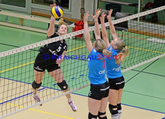 1. Fußball Bundesliga TSG 1899 Hoffenheim -VfB Stuttgart in der Wirsol Rhein Neckar Arena Sinsheim 14.02.2015  (© Siegfried Lörz)