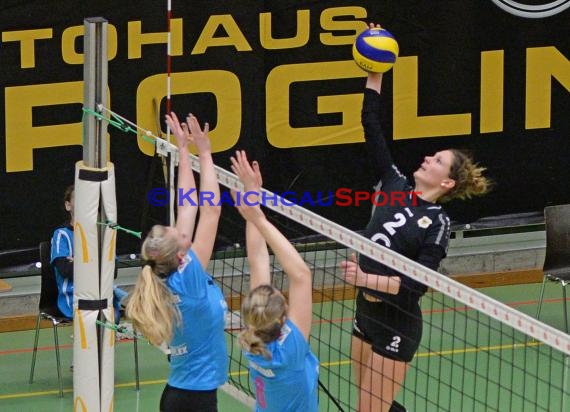 1. Fußball Bundesliga TSG 1899 Hoffenheim -VfB Stuttgart in der Wirsol Rhein Neckar Arena Sinsheim 14.02.2015  (© Siegfried Lörz)