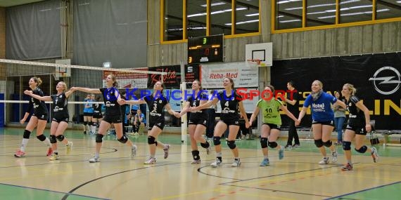 1. Fußball Bundesliga TSG 1899 Hoffenheim -VfB Stuttgart in der Wirsol Rhein Neckar Arena Sinsheim 14.02.2015  (© Siegfried Lörz)