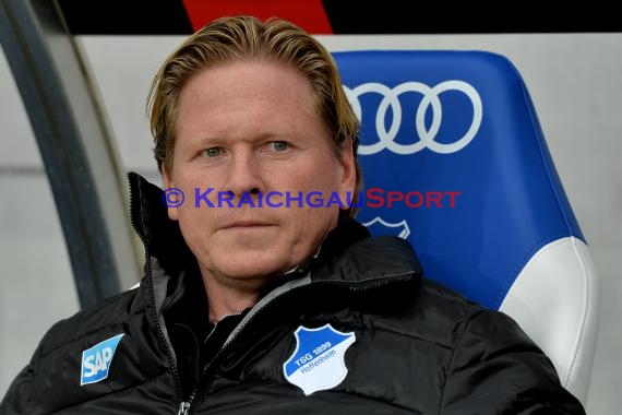 1.BL - 14/15 - TSG 1899 Hoffenheim vs Hamburger SV  (© Fotostand / Loerz)