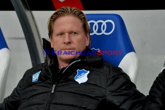 1.BL - 14/15 - TSG 1899 Hoffenheim vs Hamburger SV  (© Fotostand / Loerz)