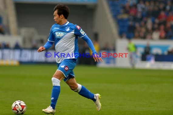 1.BL - 14/15 - TSG 1899 Hoffenheim vs Hamburger SV  (© Fotostand / Loerz)