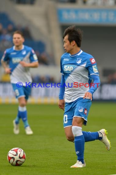 1.BL - 14/15 - TSG 1899 Hoffenheim vs Hamburger SV  (© Fotostand / Loerz)