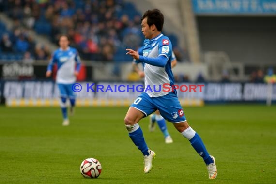 1.BL - 14/15 - TSG 1899 Hoffenheim vs Hamburger SV  (© Fotostand / Loerz)