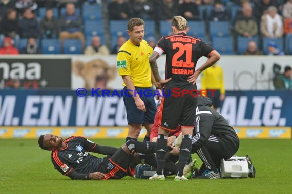 1.BL - 14/15 - TSG 1899 Hoffenheim vs Hamburger SV  (© Fotostand / Loerz)