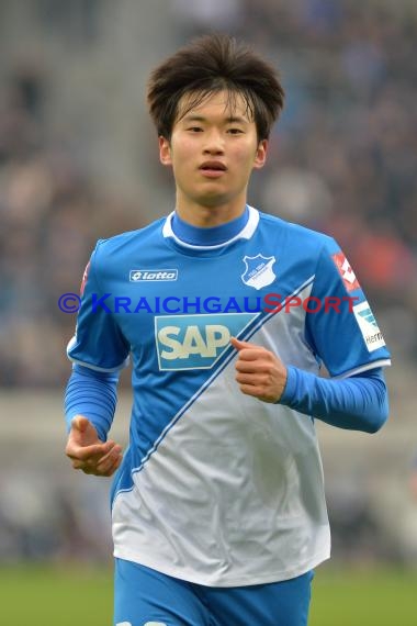 1.BL - 14/15 - TSG 1899 Hoffenheim vs Hamburger SV  (© Fotostand / Loerz)