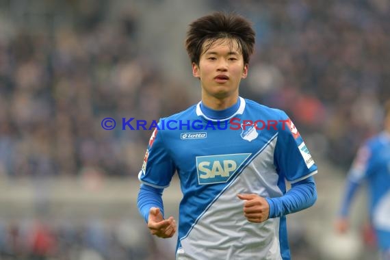 1.BL - 14/15 - TSG 1899 Hoffenheim vs Hamburger SV  (© Fotostand / Loerz)