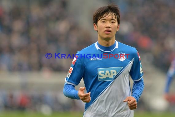 1.BL - 14/15 - TSG 1899 Hoffenheim vs Hamburger SV  (© Fotostand / Loerz)