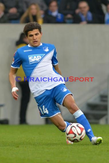 1.BL - 14/15 - TSG 1899 Hoffenheim vs Hamburger SV  (© Fotostand / Loerz)