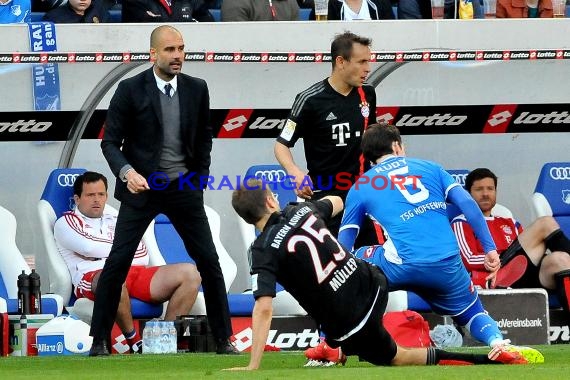 1.BL - 14/15 - TSG 1899 Hoffenheim vs. Bayern Muenchen (© Fotostand / Loerz)