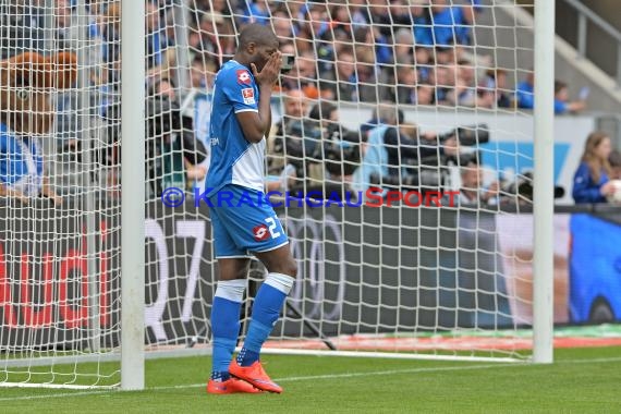 1.BL - 14/15 - TSG 1899 Hoffenheim vs. Bor. Dortmund (© Fotostand / Loerz)