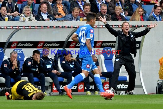 1.BL - 14/15 - TSG 1899 Hoffenheim vs. Bor. Dortmund (© Fotostand / Loerz)