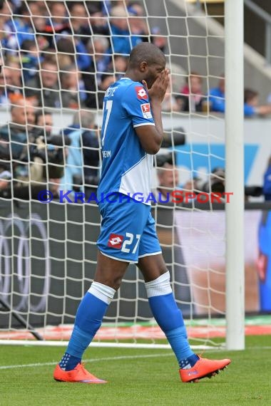 1.BL - 14/15 - TSG 1899 Hoffenheim vs. Bor. Dortmund (© Fotostand / Loerz)