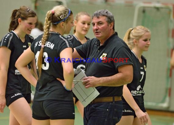 Volleyball Damen 3. Liga Süd SV Sinsheim gegen VC Wiesbaden-2 28.11.2014 (© Siegfried)