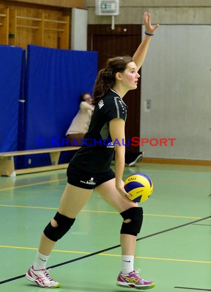 Volleyball Damen 3. Liga Süd SV Sinsheim gegen VC Wiesbaden-2 28.11.2014 (© Siegfried)