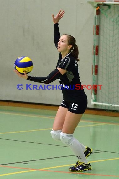 Volleyball Damen 3. Liga Süd SV Sinsheim gegen VC Wiesbaden-2 28.11.2014 (© Siegfried)