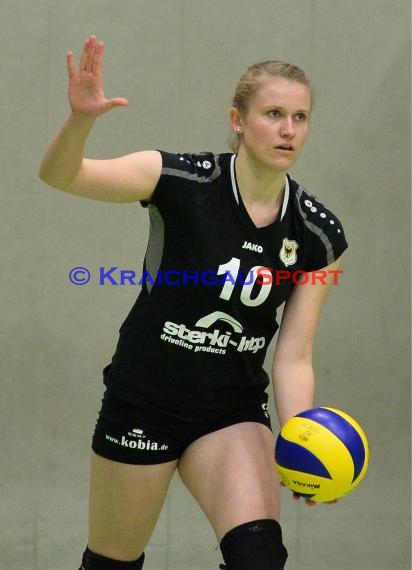 Volleyball Damen 3. Liga Süd SV Sinsheim gegen VC Wiesbaden-2 28.11.2014 (© Siegfried)