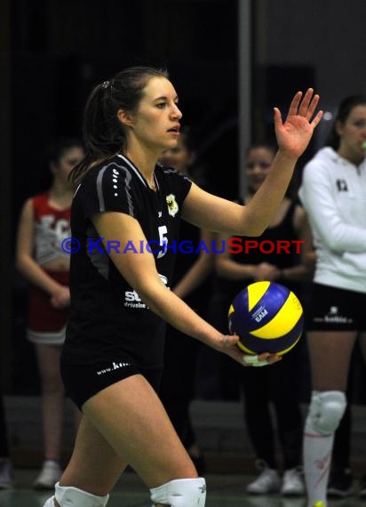 Volleyball Damen 3. Liga Süd SV Sinsheim gegen SSC Bad Vilbel 09.01.2016 (© Siegfried)