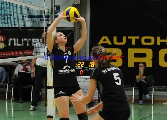 Volleyball Damen 3. Liga Süd SV Sinsheim gegen SSC Bad Vilbel 09.01.2016 (© Siegfried)