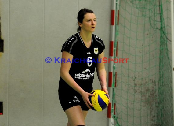 Volleyball Damen 3. Liga Süd SV Sinsheim gegen SSC Bad Vilbel 09.01.2016 (© Siegfried)