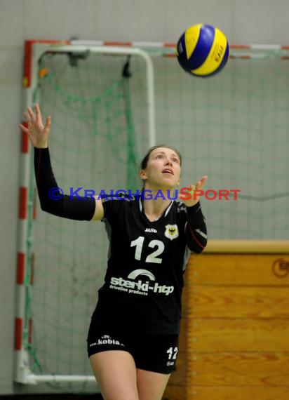 Volleyball Damen 3. Liga Süd SV Sinsheim gegen SSC Bad Vilbel 09.01.2016 (© Siegfried)