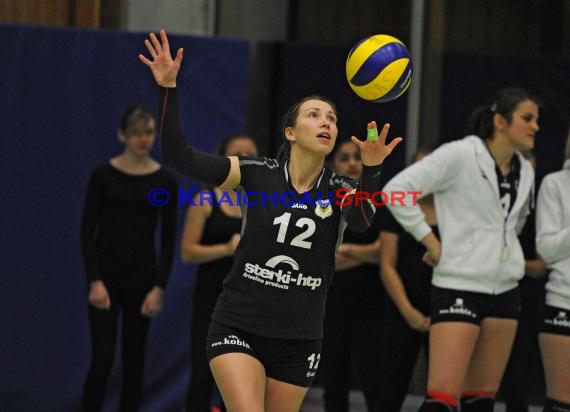 Volleyball Damen 3. Liga Süd SV Sinsheim gegen SSC Bad Vilbel 09.01.2016 (© Siegfried)