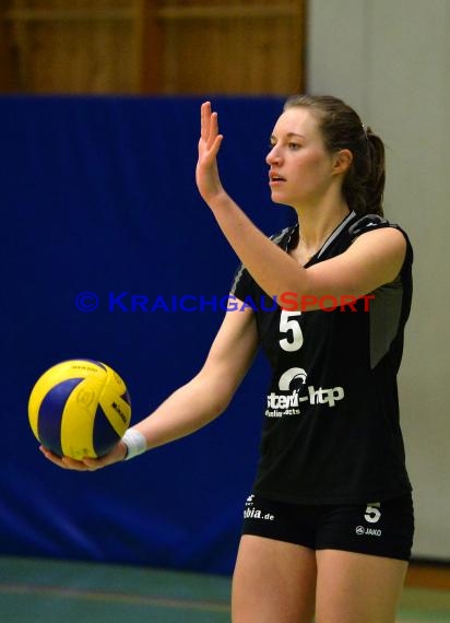 Volleyball Damen 3. Liga Süd SV Sinsheim gegen BSP MTV Stuttgart 27.02.2016 (© Siegfried)