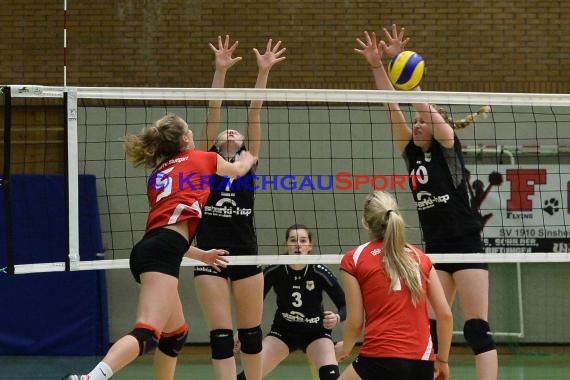 Volleyball Damen 3. Liga Süd SV Sinsheim gegen BSP MTV Stuttgart 27.02.2016 (© Siegfried)