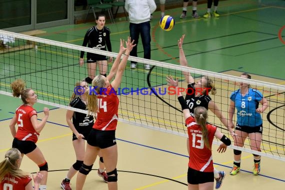 Volleyball Damen 3. Liga Süd SV Sinsheim gegen BSP MTV Stuttgart 27.02.2016 (© Siegfried)