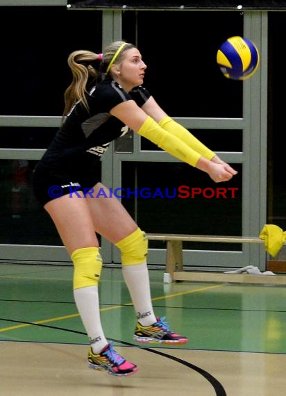 Volleyball Damen 3. Liga Süd SV Sinsheim gegen BSP MTV Stuttgart 27.02.2016 (© Siegfried)